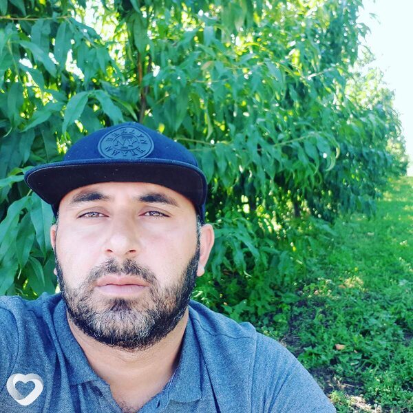 Рашид, Краснодар