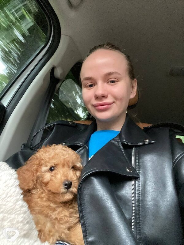 Маша, 22, Кемерове — анкета №844929