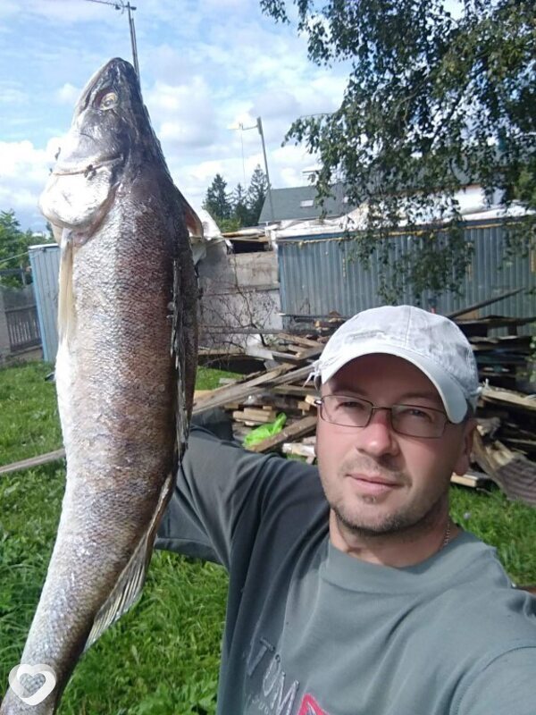 Паша, 48, Мытищах — анкета №849113