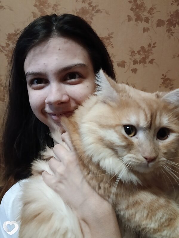 Аліна, Монастырище