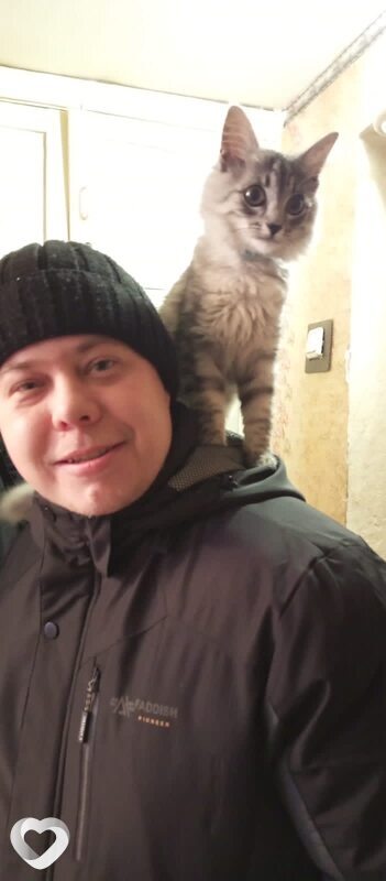 Денис, Селижарово