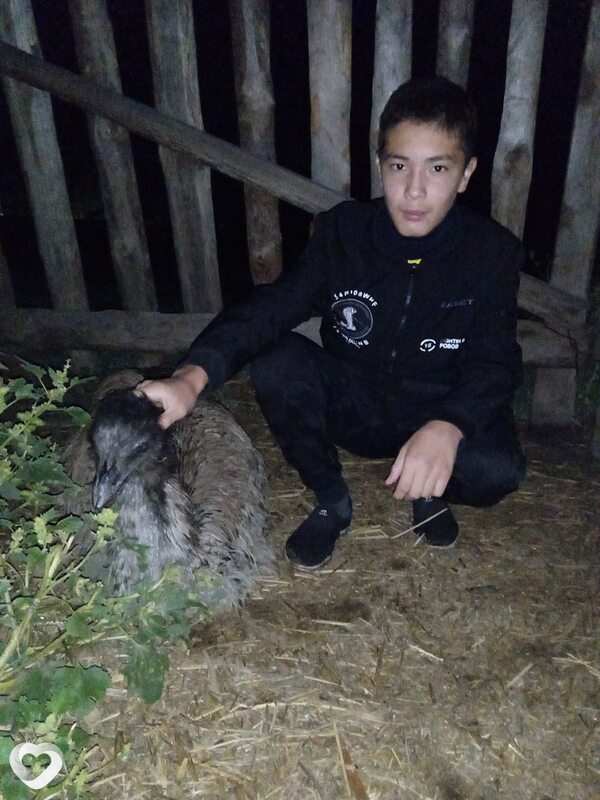 Данияр, Камызяк
