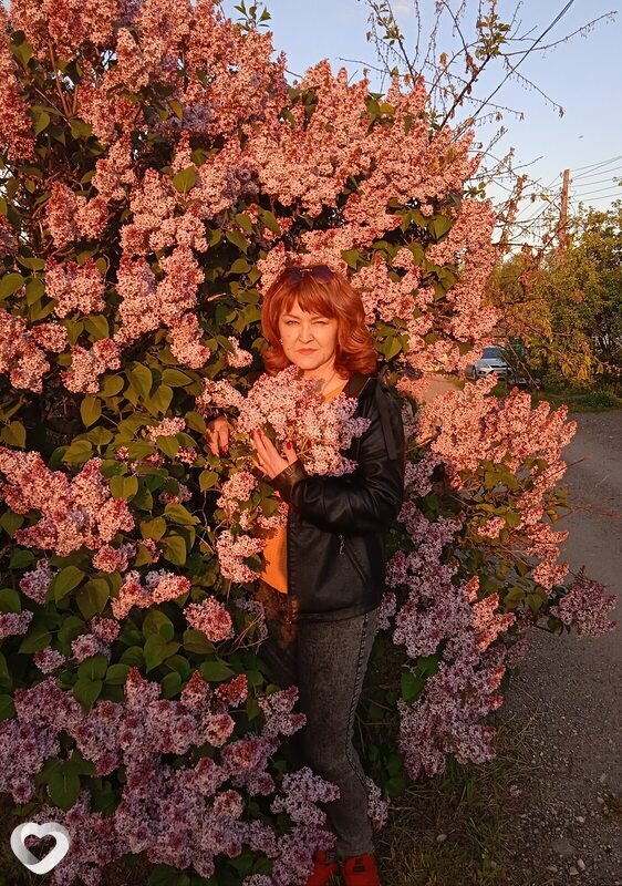 Жанна, 55, Липецке — анкета №858931