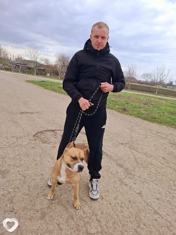 Алексей, 29, Тихорецке — анкета №861793