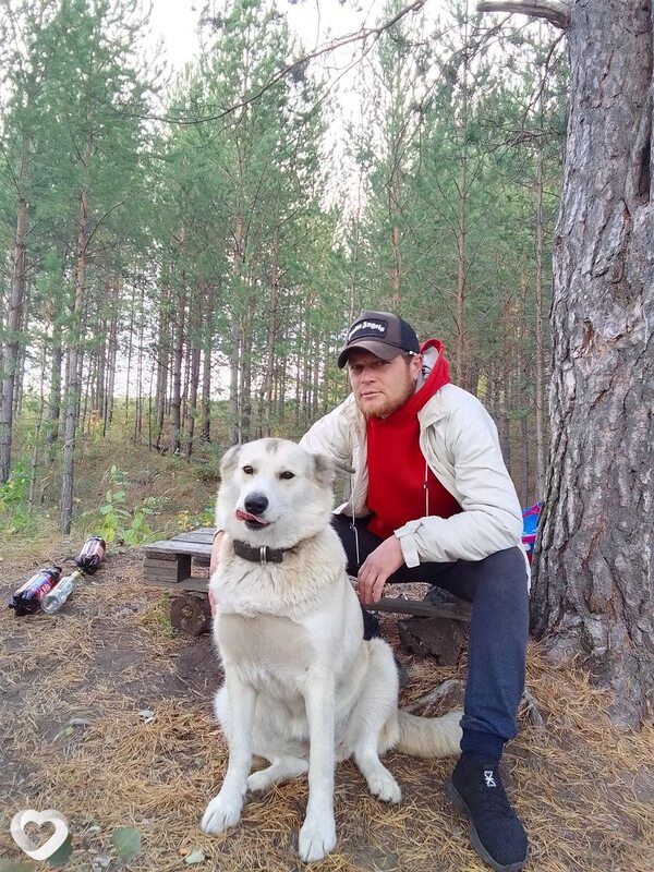 Дмитрий, 36, Нижнем Тагиле — анкета №862735