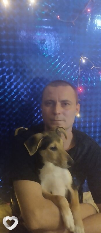 Дмитрий, 37, Вологде — анкета №864408
