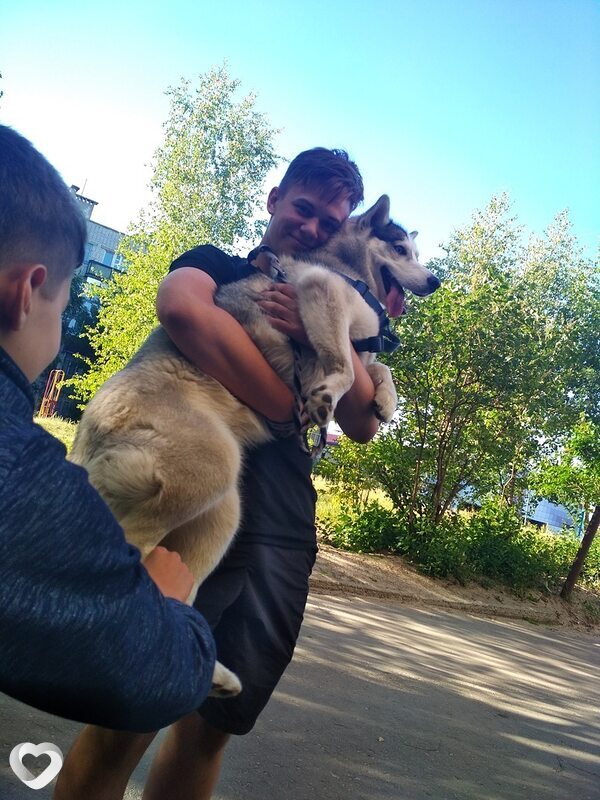 Иван, 24, Нижнем Новгороде — анкета №865277