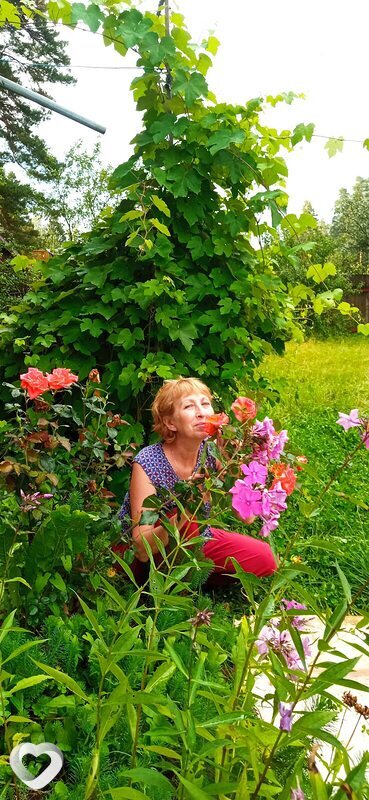 Таня, 58, Сергиеве Посаде — анкета №866030