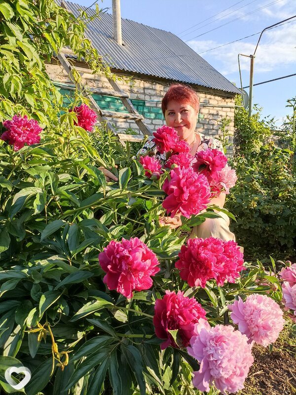 Елена, 69, Самаре — анкета №868991