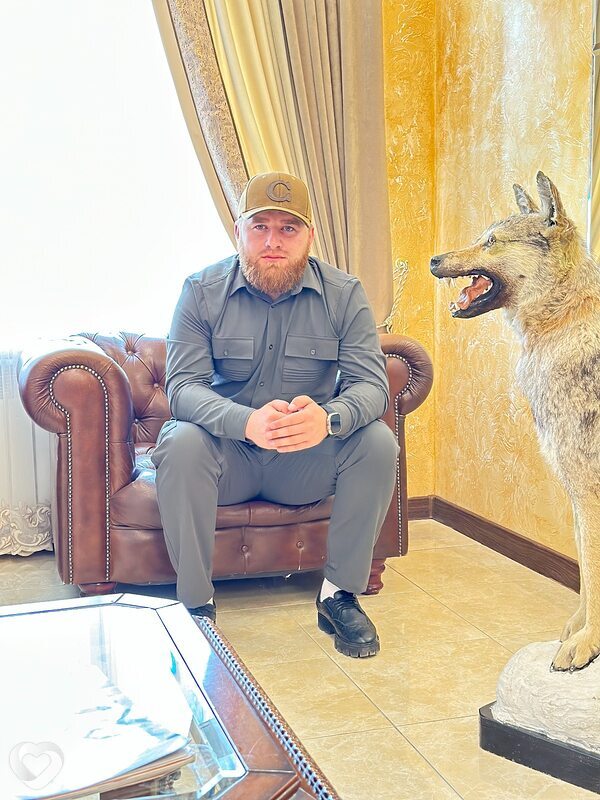 Ахмед Медниев, 27, Грозном — анкета №1307255