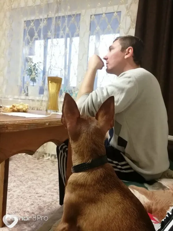 Денис, 38, Бийске — анкета №885144