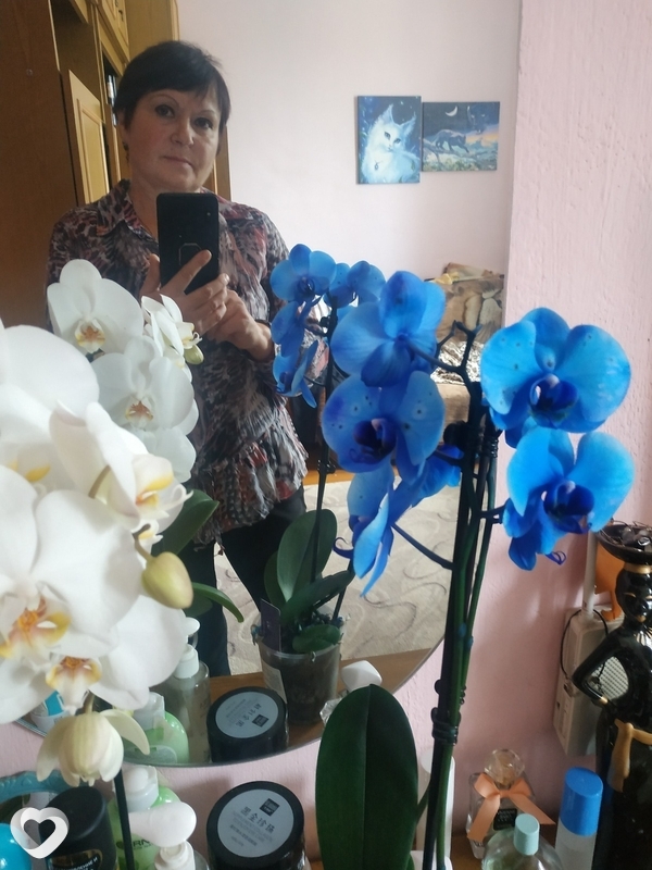 Галина, 65, Витебске — анкета №885762