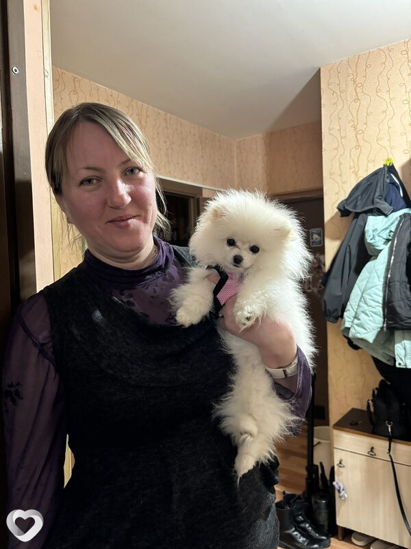 Наталья, 46, Гомеле — анкета №886340