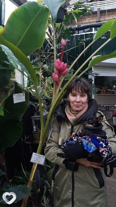 Галина, 69, Твери — анкета №887831