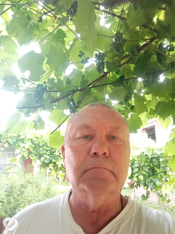 Александр, 61, Курске — анкета №889767