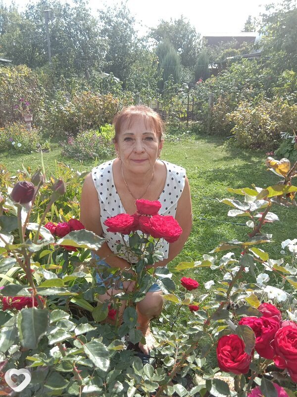 Вера, 70, Тольятти — анкета №889823
