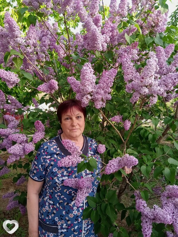 Лидия, 68, Волгограде — анкета №893912