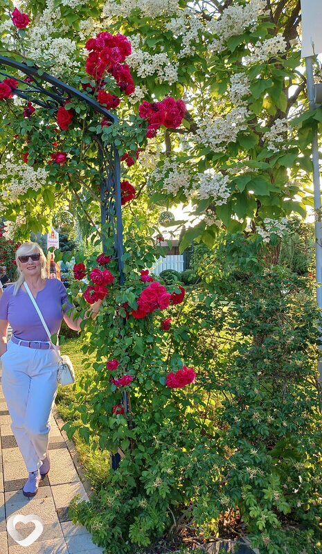 Елена, 58, Ростове-на-Дону — анкета №897742