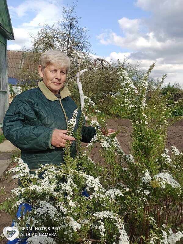 Татьяна, 65, Воскресенске — анкета №897997