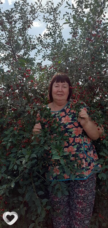Анна, 67, Омске — анкета №898008
