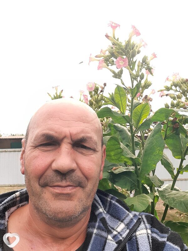 Виктор, 50, Краснодаре — анкета №900423