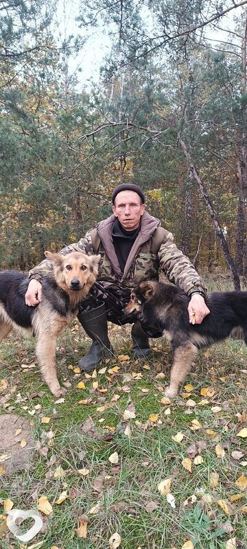 Михаил, Хойники