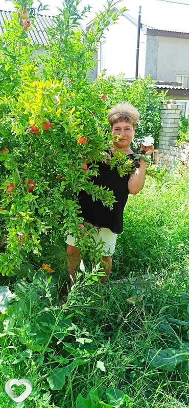 Лиз, Люберцы