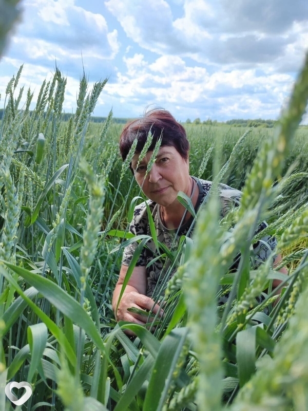 Светлана, Городец