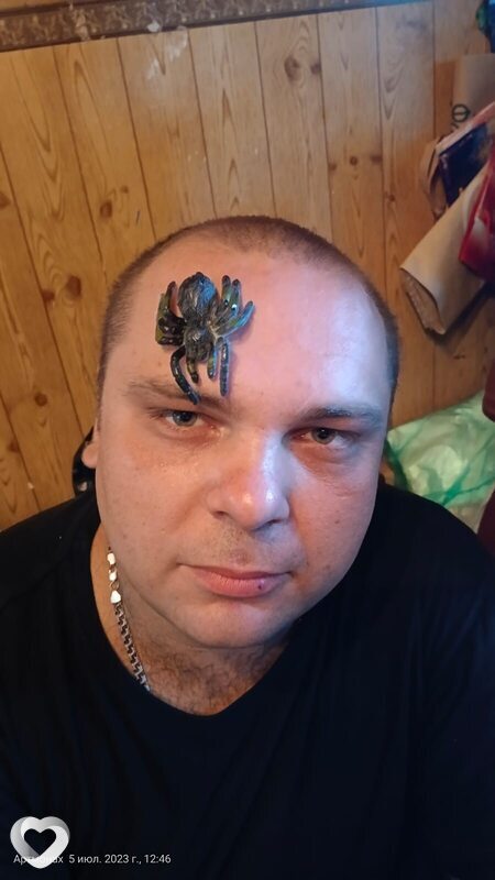 Антон, 37, Пятигорске — анкета №905273
