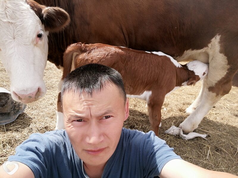 Николай, 41, Челябинске — анкета №906754