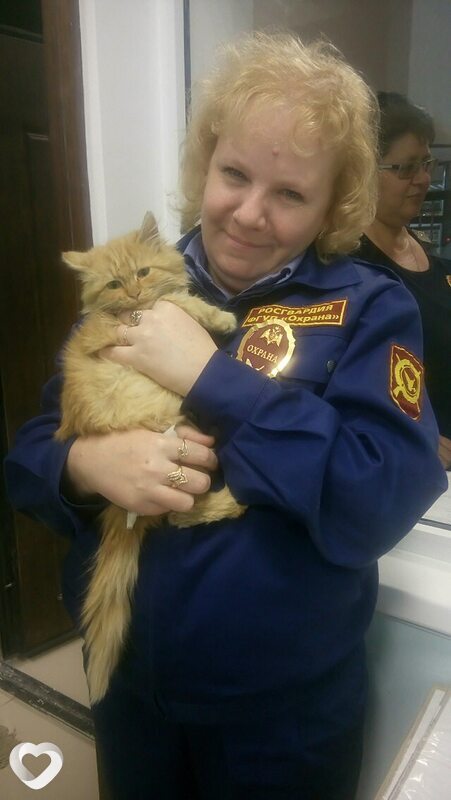 Татьяна, 51, Оренбурге — анкета №907283