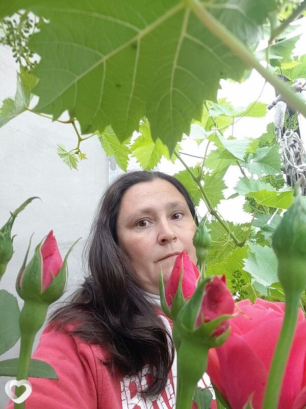 Міла, Шаргород