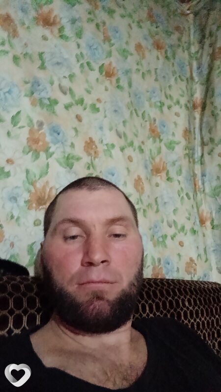 Лев, Вешенская