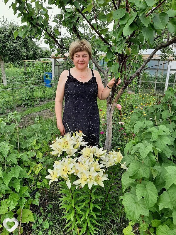 Ирина, 54, Речице — анкета №921379