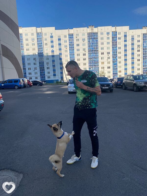 Малыш, Курск
