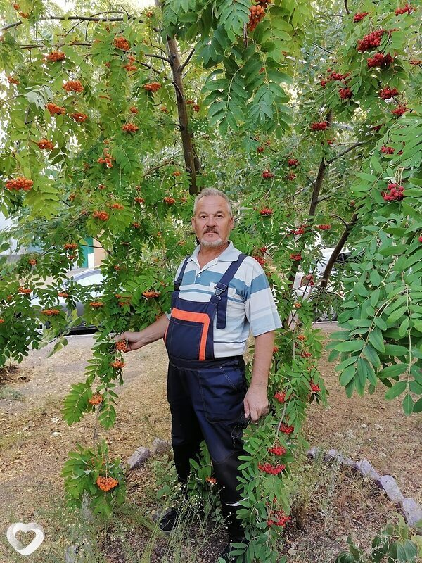 Борис, 63, Ульяновске — анкета №925887