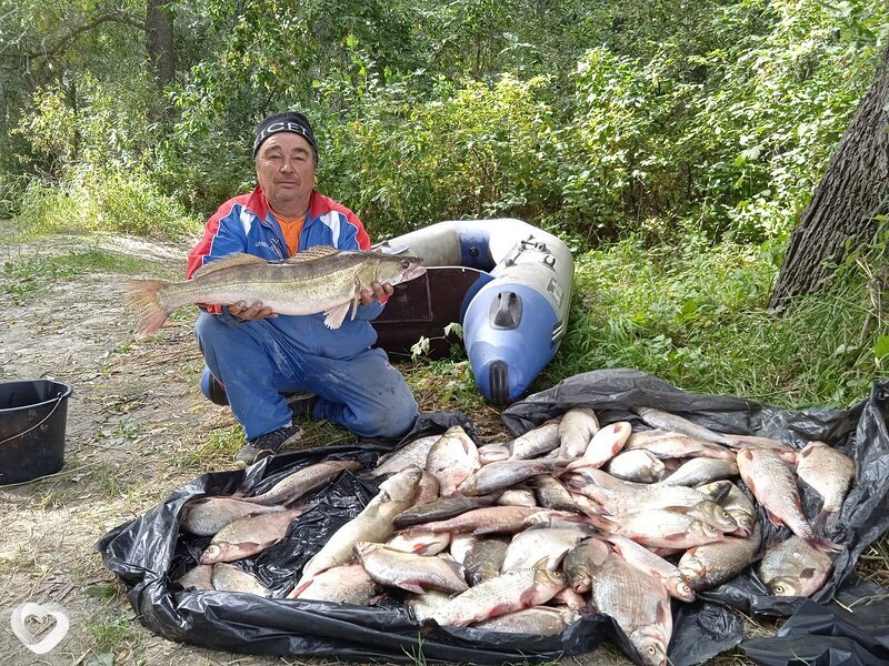 Серж, 65, Барнауле — анкета №931743
