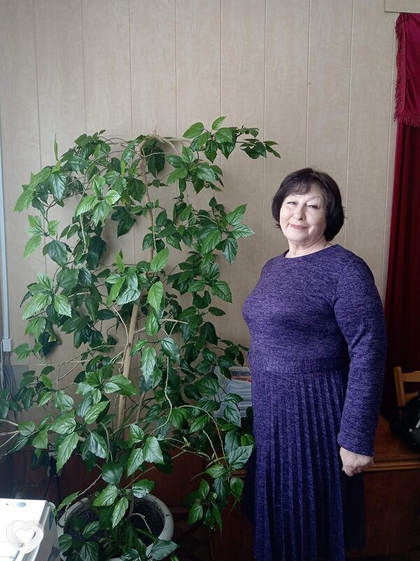 Ирина, 65, Старом Осколе — анкета №935436