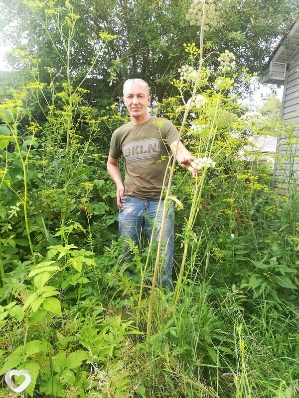Александр, 46, Нижнем Тагиле — анкета №935605