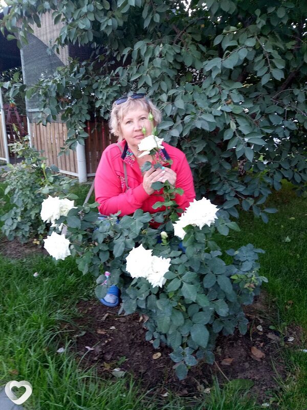 Елена, 56, Сургуте — анкета №940258