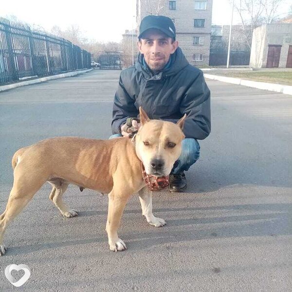 Владимир, 47, Рубцовске — анкета №940849
