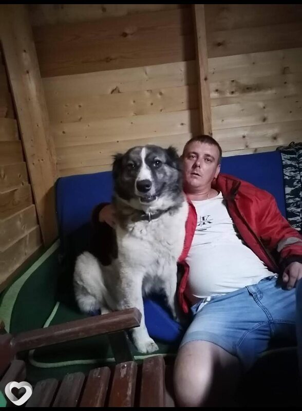 Евгений, 40, Александрове — анкета №944118