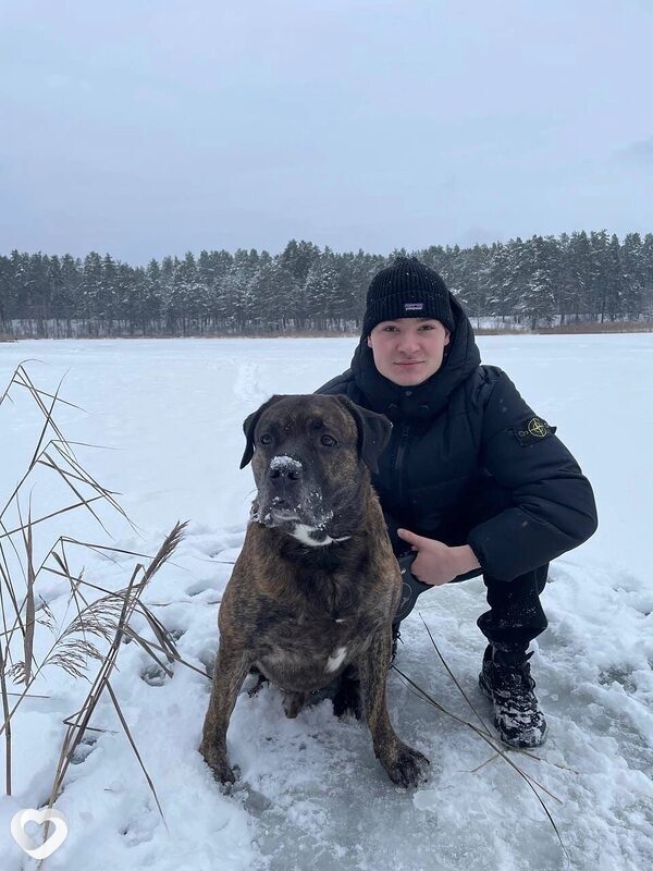 Денис, 26, Москве — анкета №944800