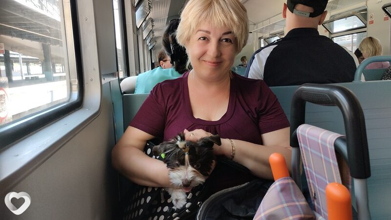 Людмила, 54, Санкт-Петербурге — анкета №944768