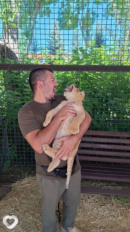 Иван, 35, Аксае — анкета №946526
