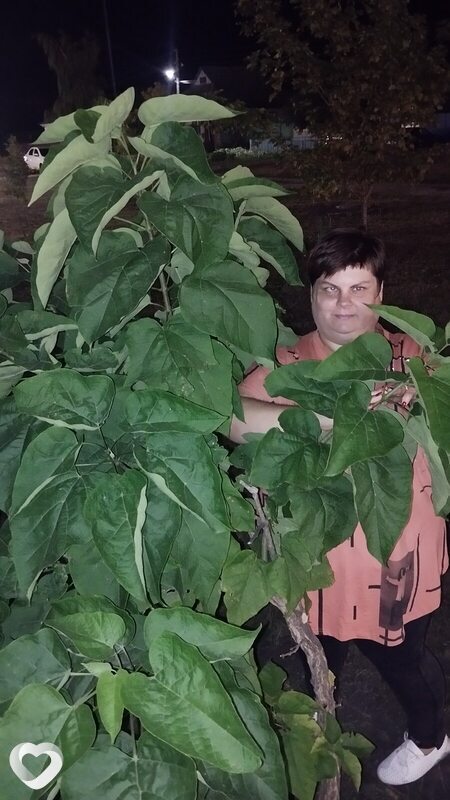 Юлия, Таловая