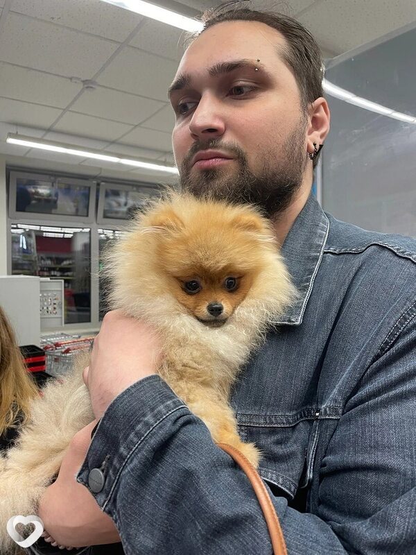 Дмитрий, 26, Москве — анкета №950826