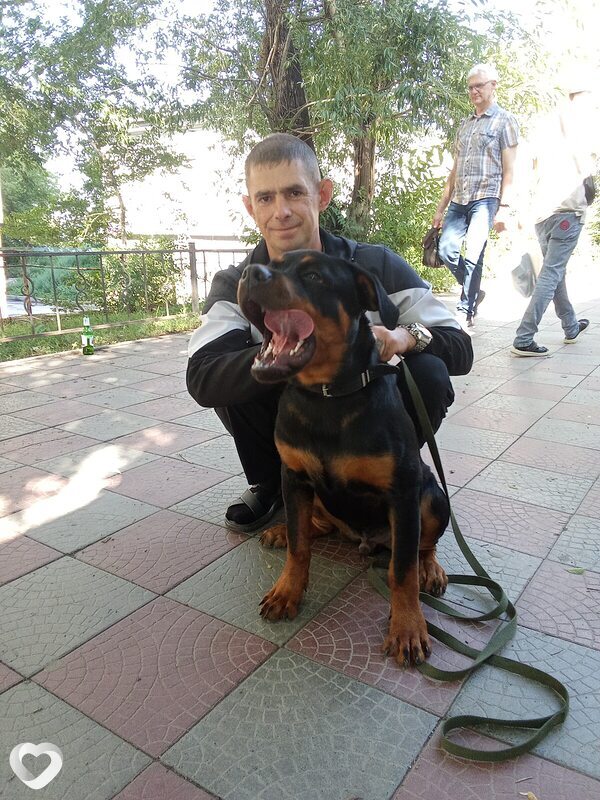 Константин, 42, Новосибирске — анкета №951087