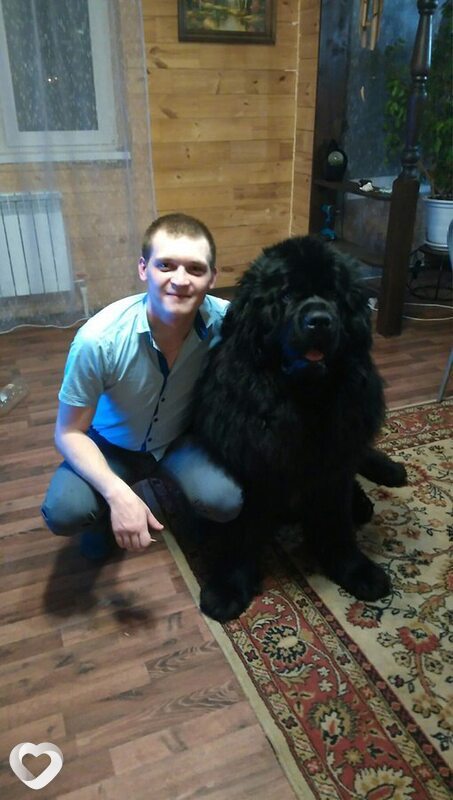 Дмитрий, 35, Томске — анкета №951740