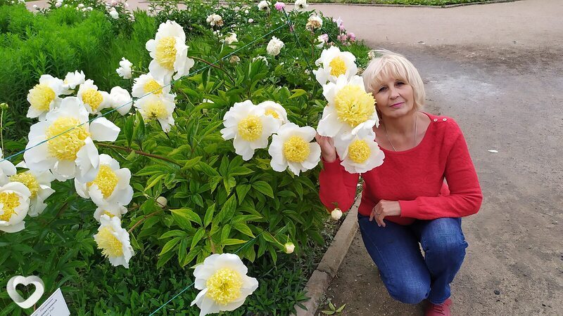 Света, 59, Симферополе — анкета №951763